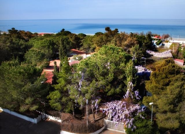 Villaggio La Pantera Rosa Scalea Dış mekan fotoğraf