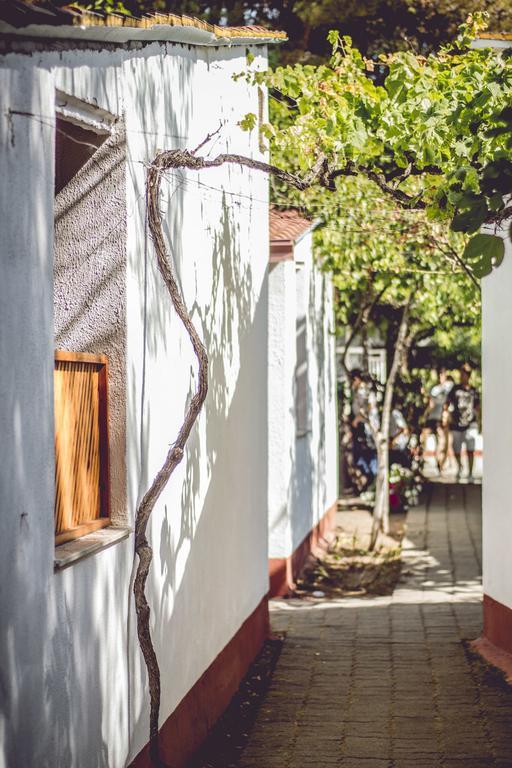 Villaggio La Pantera Rosa Scalea Dış mekan fotoğraf