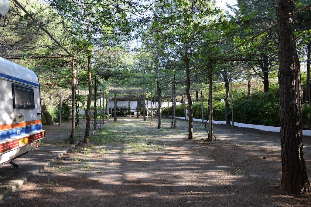 Villaggio La Pantera Rosa Scalea Dış mekan fotoğraf