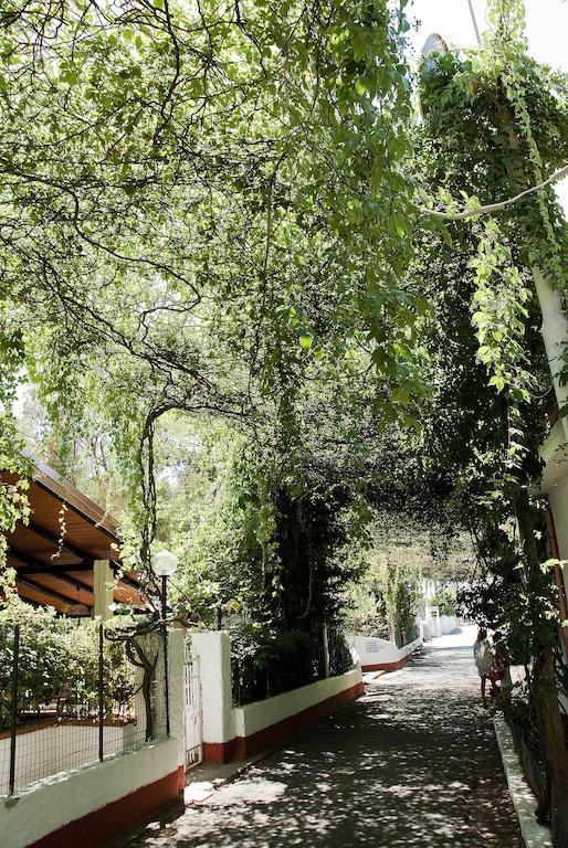 Villaggio La Pantera Rosa Scalea Dış mekan fotoğraf